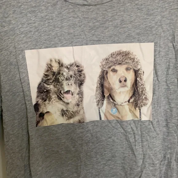 NWOT aerie cropped tee - Picture 2 of 5